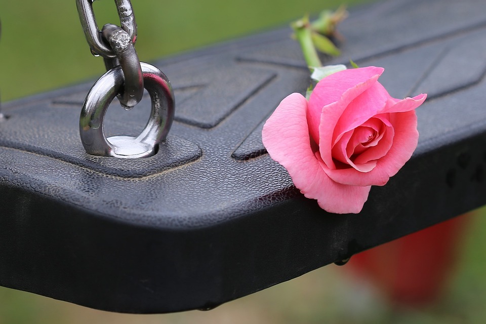 5 must have apps on your phone this Diwali